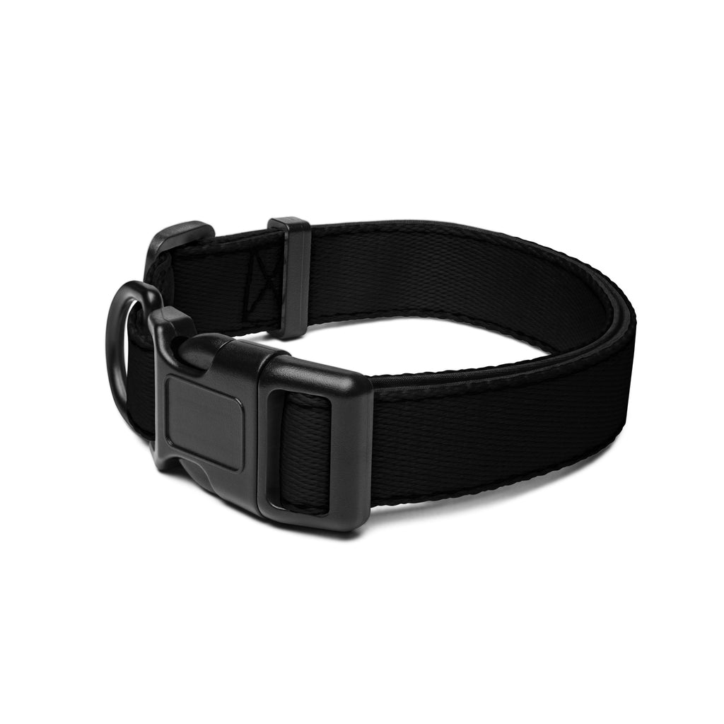 Black Dog Collar