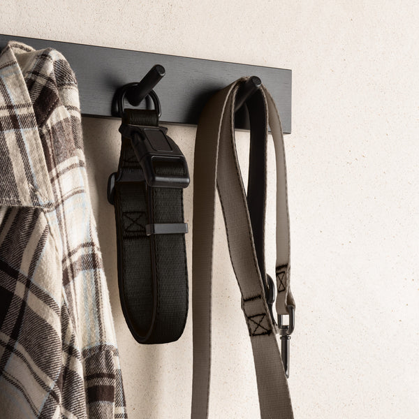 Black Dog Collar