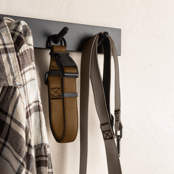 Brown Dog Collar