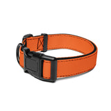 Orange Dog Collar