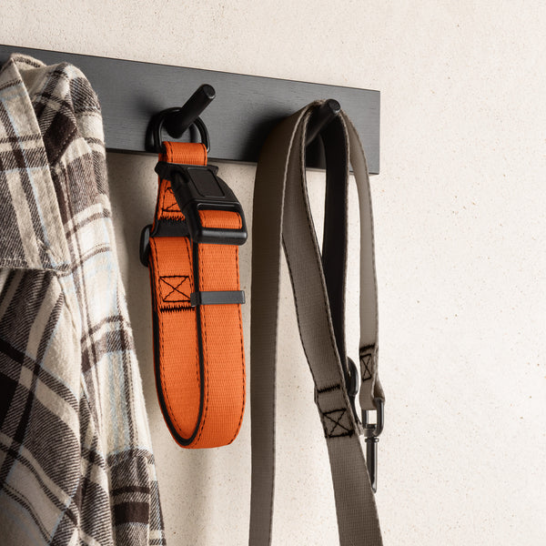 Orange Dog Collar