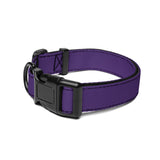 Purple Dog Collar