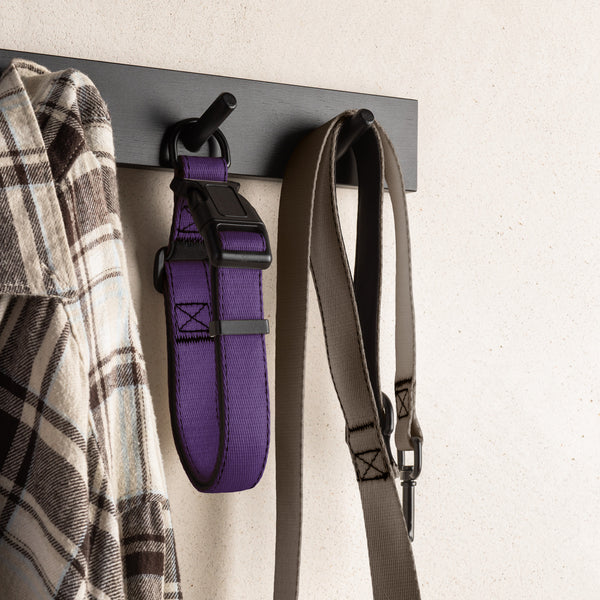 Purple Dog Collar