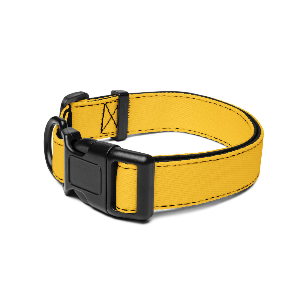 Yellow Dog Collar