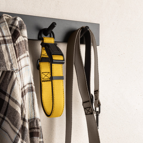 Yellow Dog Collar