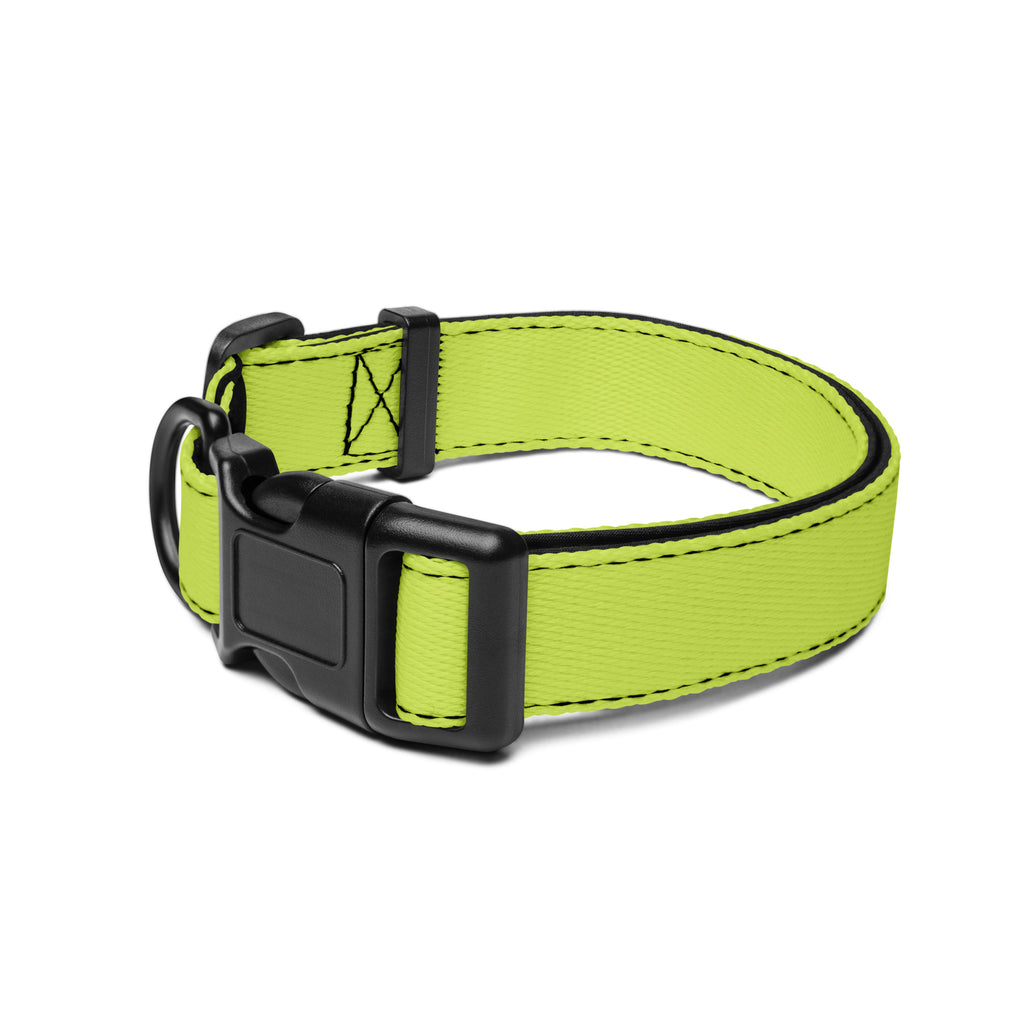 Mindaro Dog Collar