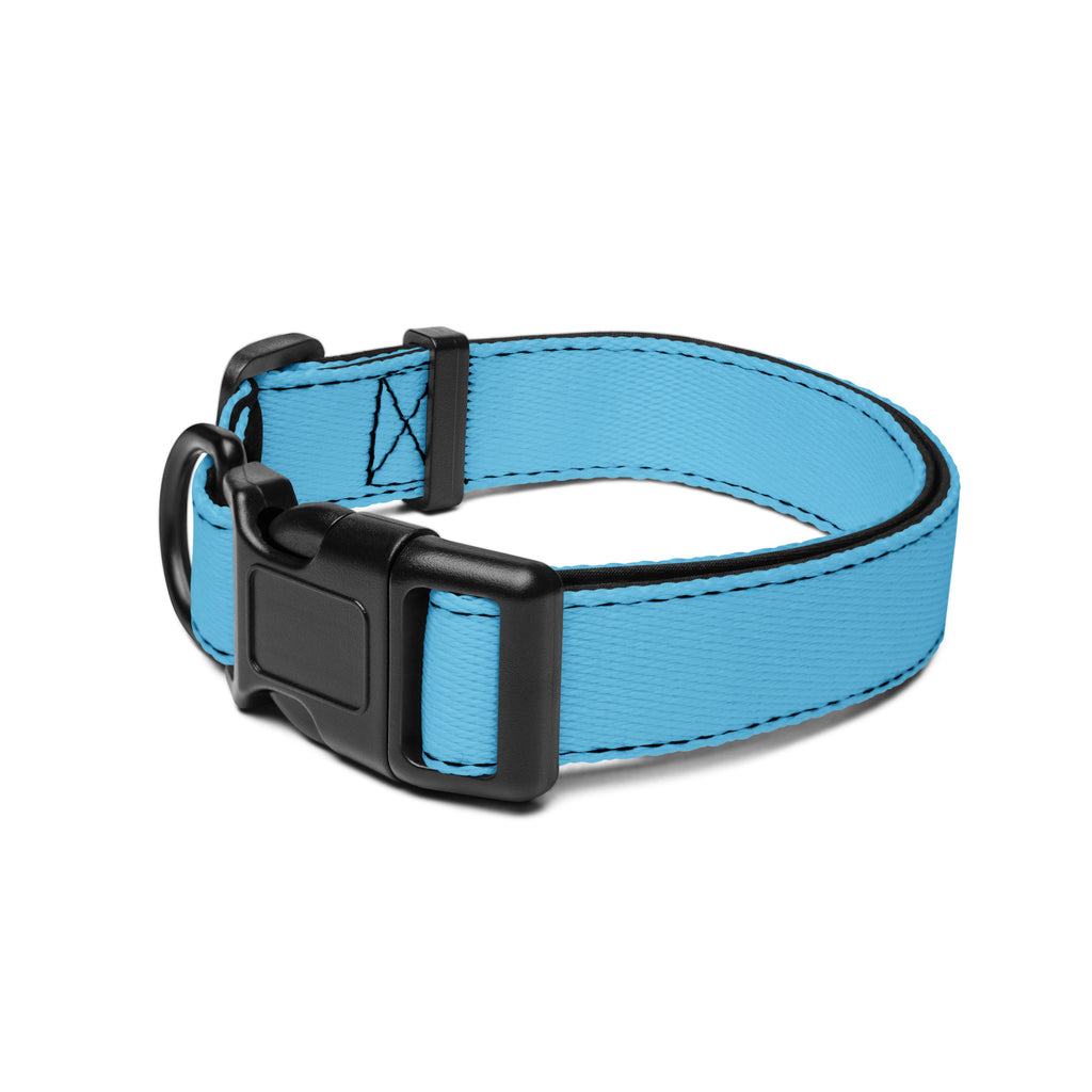 Sky Blue Dog Collar