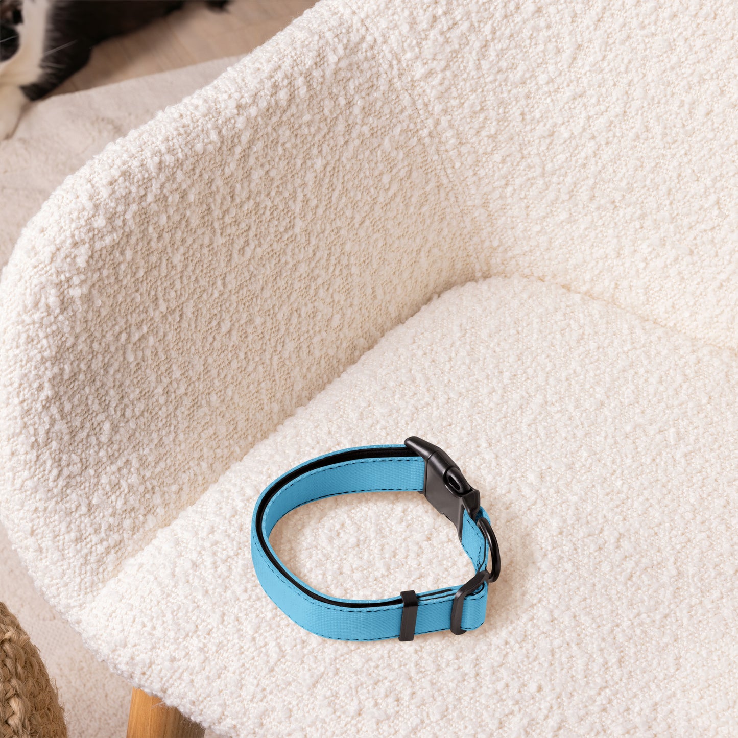 Sky Blue Dog Collar