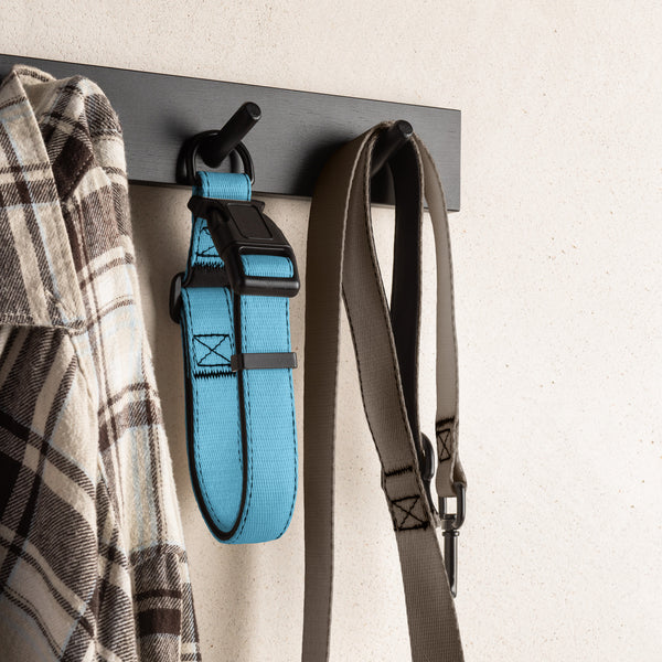 Sky Blue Dog Collar