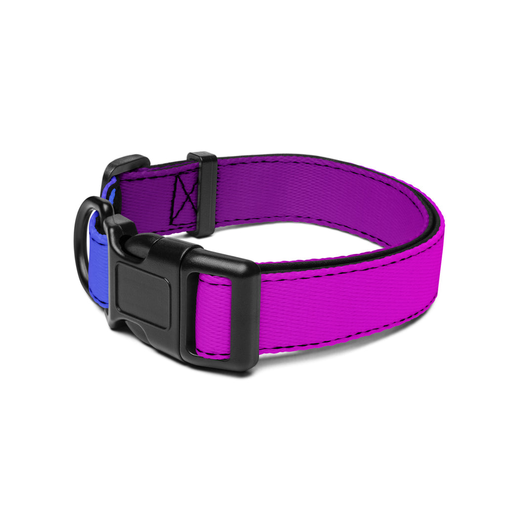 Purple Pink Blue Ombre Dog Collar