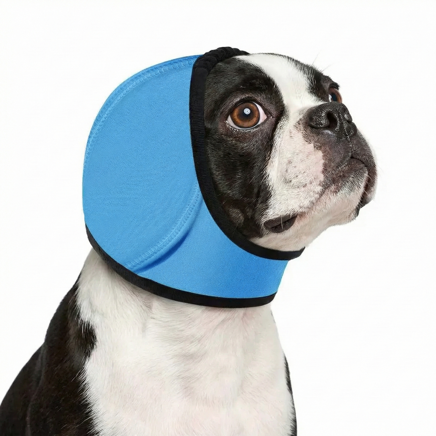 Pet Earmuffs Head Cover Dog Ear Protection For Swimming and Anti Anxiety Noise Cancelling . Sky Blue