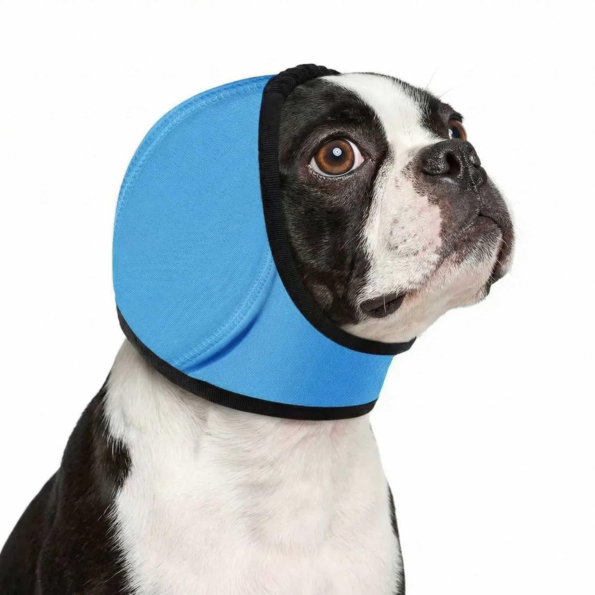 Pet Earmuffs Head Cover Dog Ear Protection For Swimming and Anti Anxiety Noise Cancelling . Sky Blue