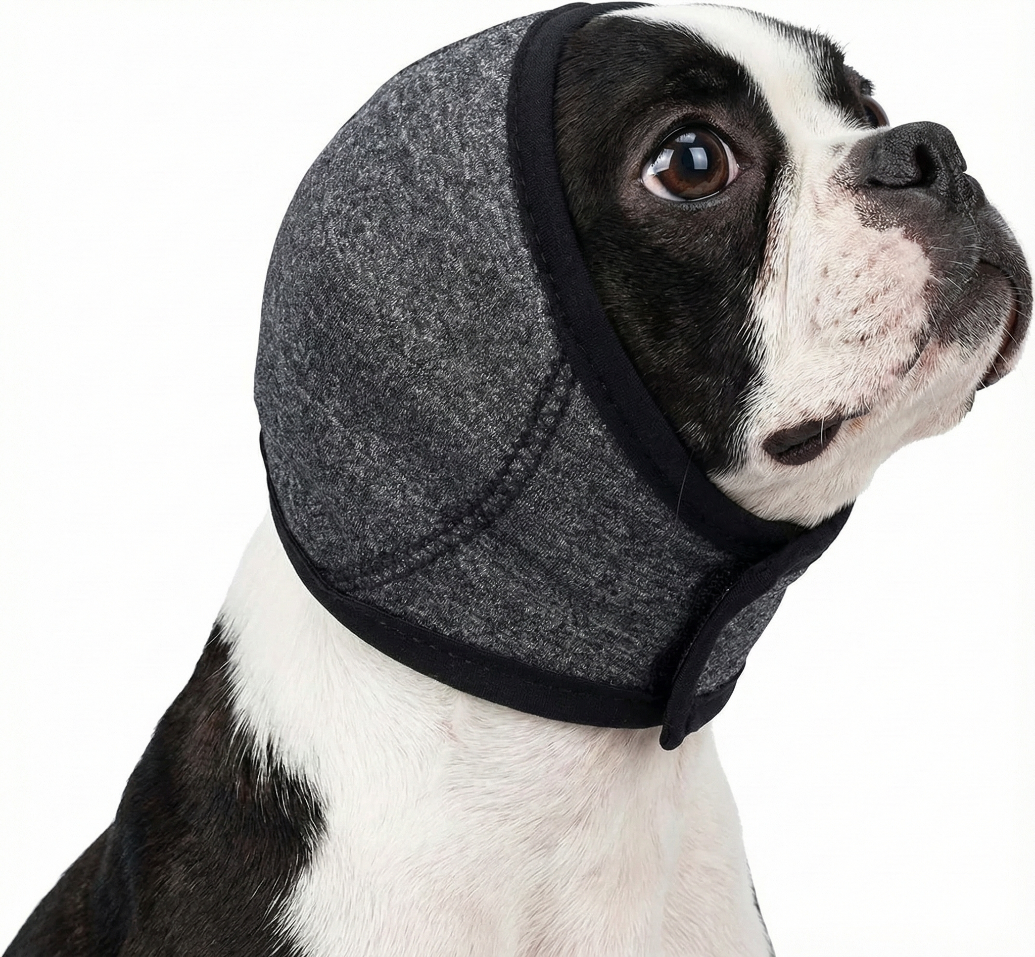 Pet Earmuffs Head Cover Dog Ear Protection For Swimming and Anti Anxiety Noise Cancelling . Dark Gray