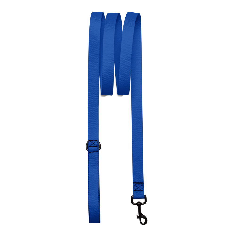 Blue Dog Leash