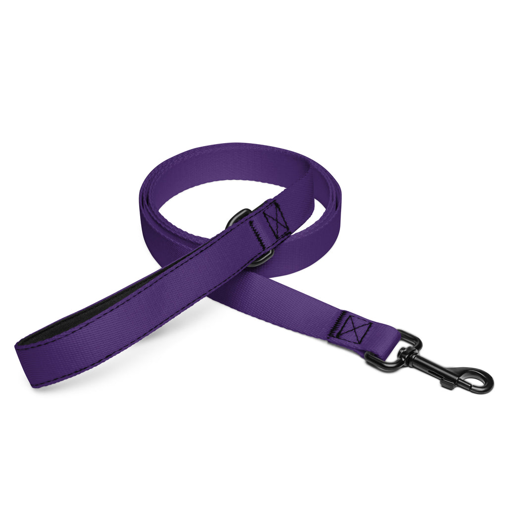 Purple Dog Leash