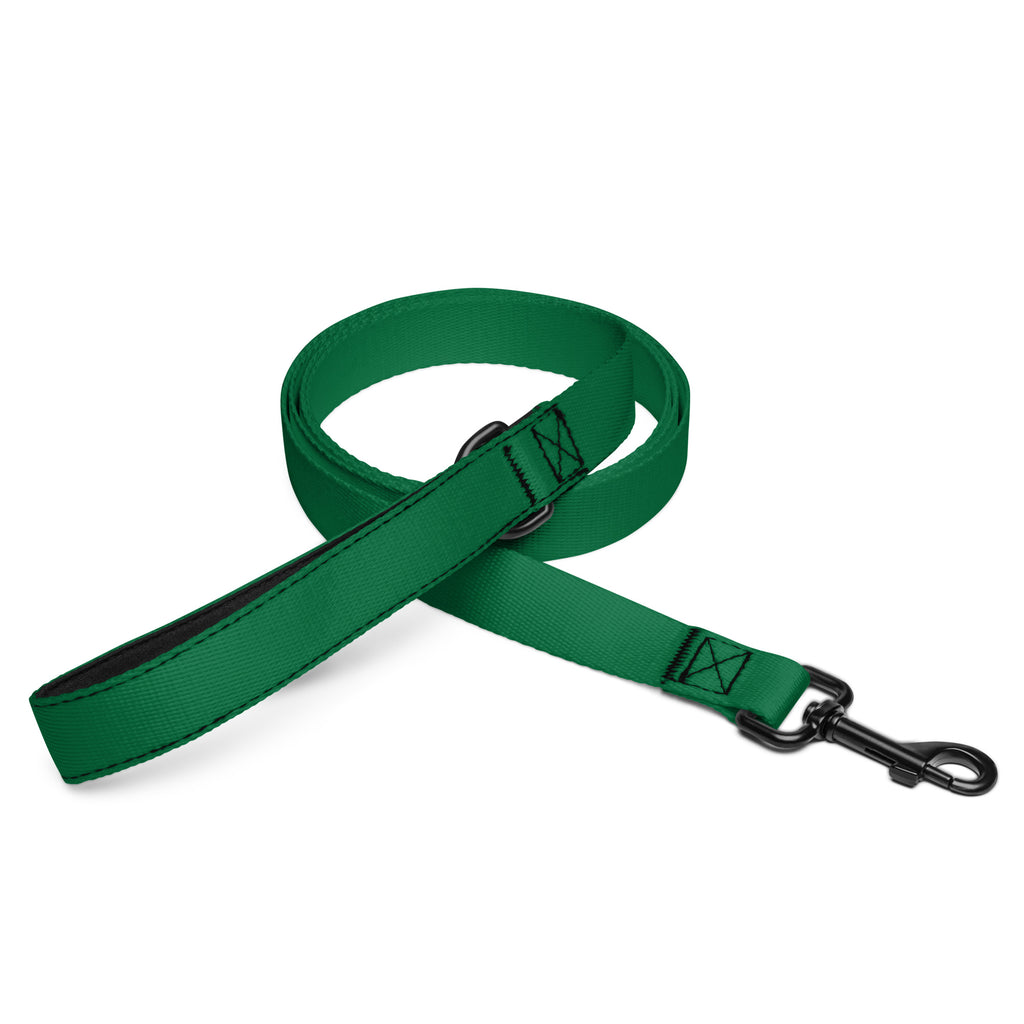 Green Dog Leash