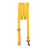 Yellow Dog Leash
