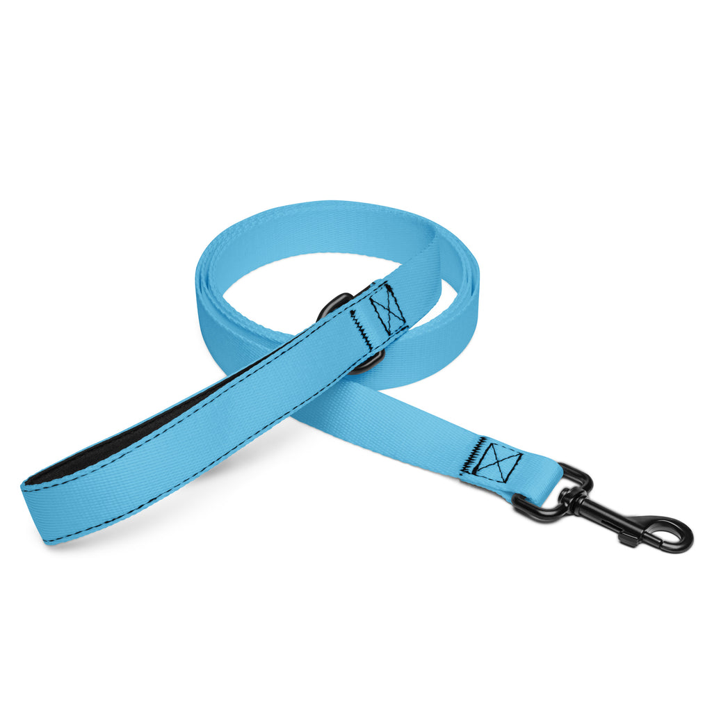 Sky Blue Dog Leash