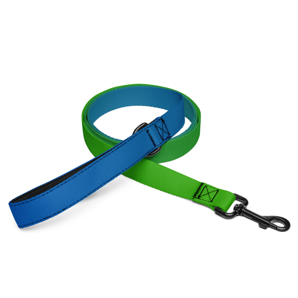 Blue to Green Ombre Dog Leash