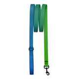 Blue to Green Ombre Dog Leash