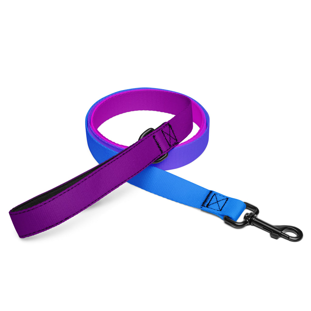 Purple Pink Blue Ombre Dog Leash