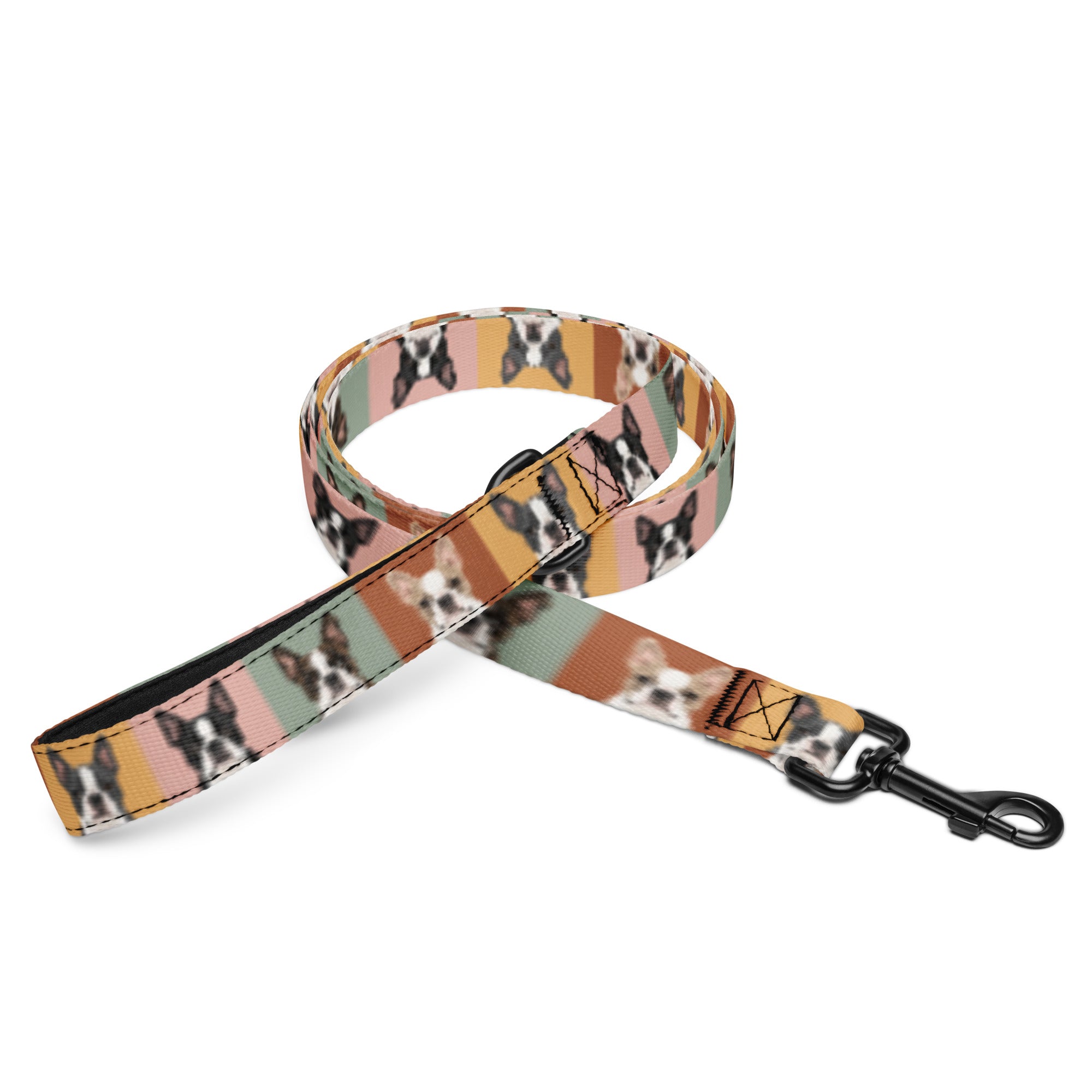 Pop Art Style Colored Boston Terriers Modern Tiles Pattern Dog Leash . Default Title