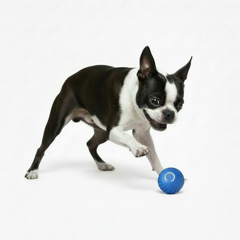 Pet Rubber Ball Interactive Toy For Dogs .