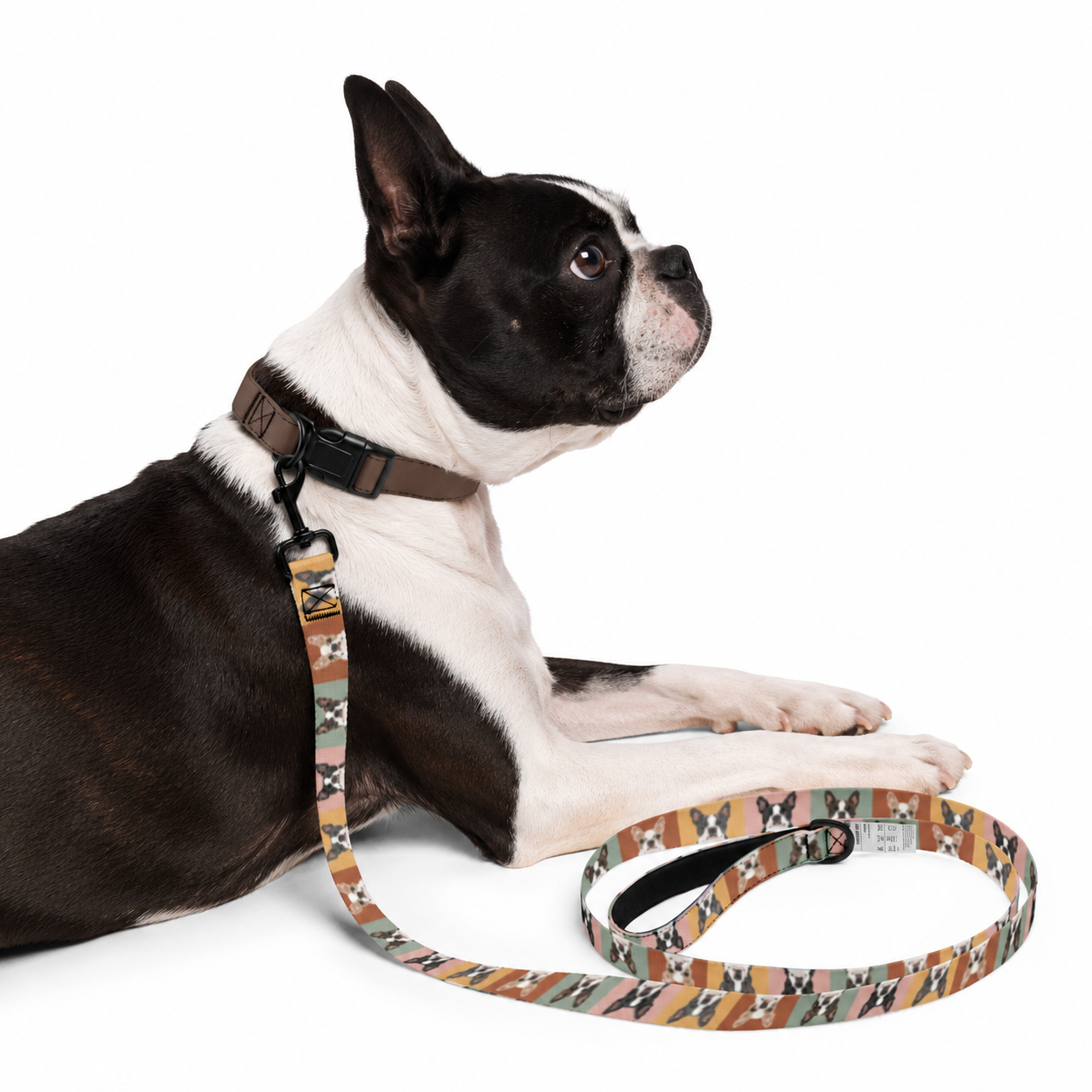 Pop Art Style Colored Boston Terriers Modern Tiles Pattern Dog Leash .