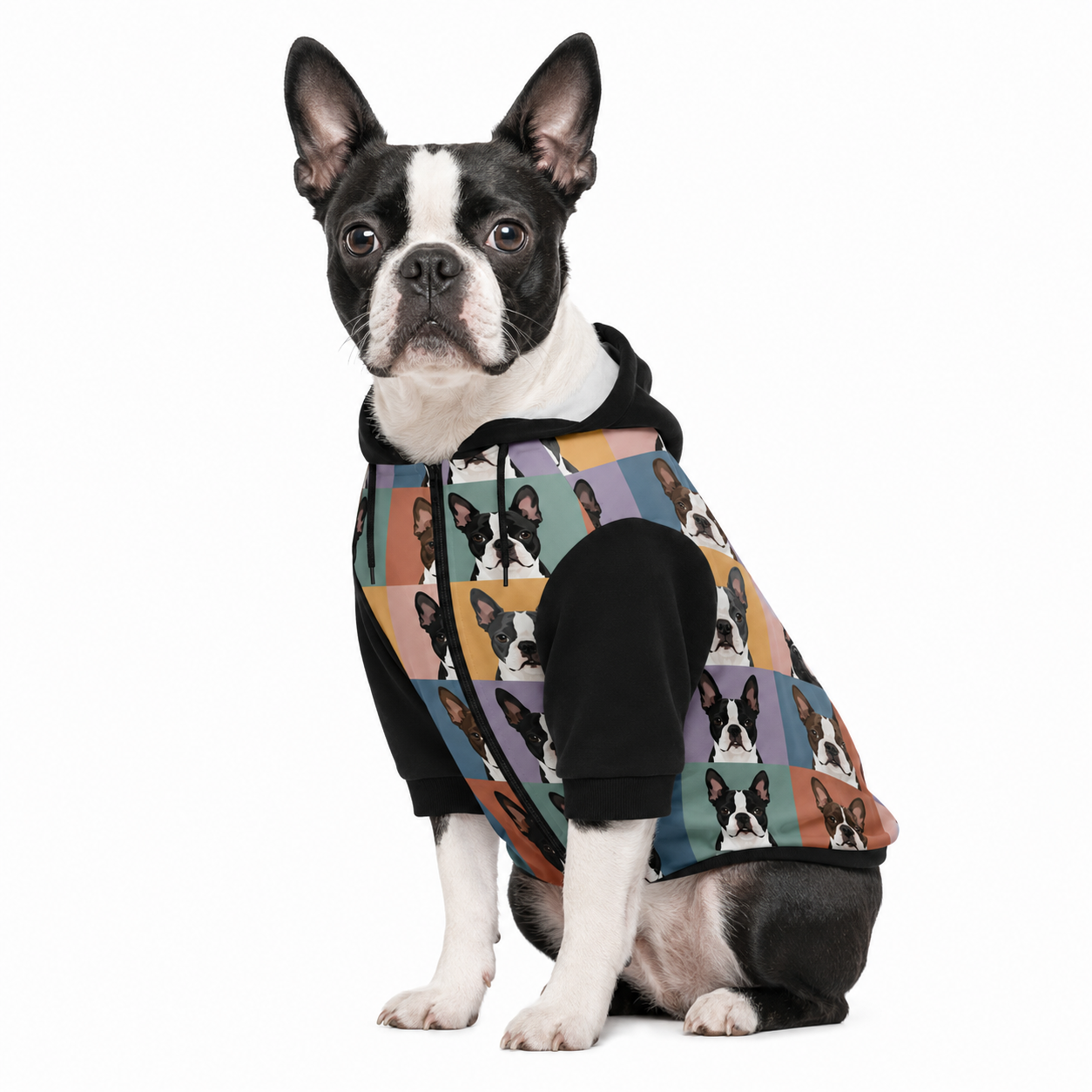 Pop Art Style Colored Boston Terriers Modern Tiles Pattern Fashion Dog Zip-Up Hoodie .