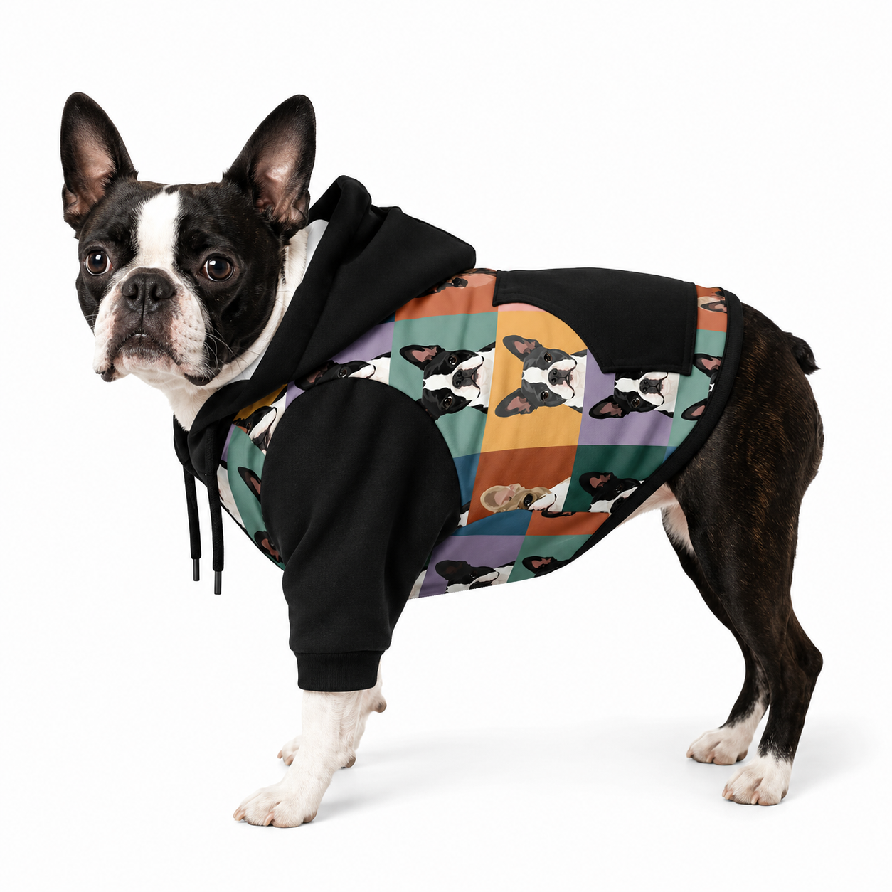 Pop Art Style Colored Boston Terriers Modern Tiles Pattern Fashion Dog Zip-Up Hoodie .