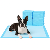 Premium Disposable Training Pads For Dogs, Pee Pads, Training Pads, Disposable Puppy Pee Pads, Quick Absorb And Odor Control, Manufactured In The US - 40 Pcs 30 Inches x 30 Inches