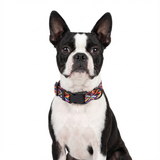 Printed Dog Collars .