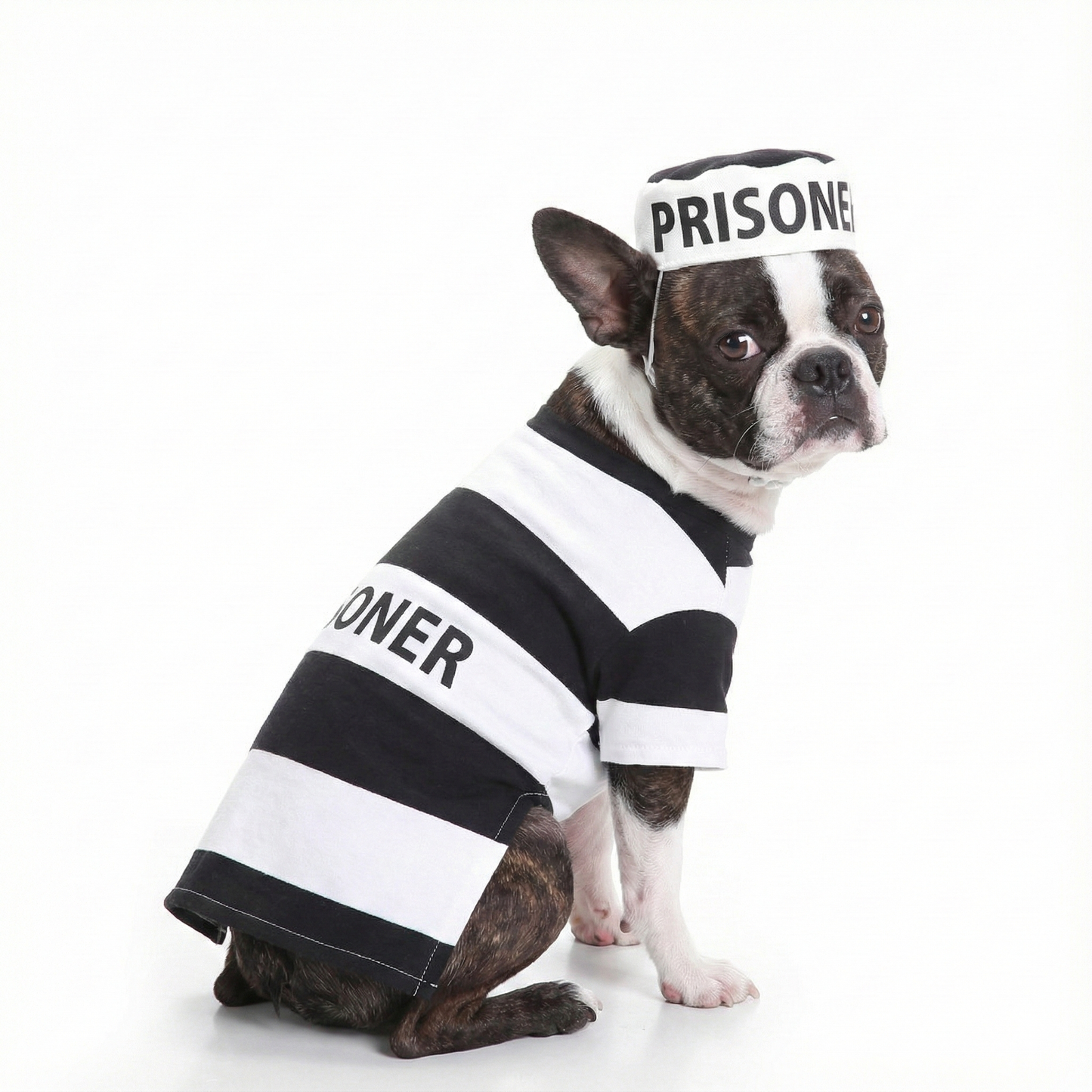 Prisoner Dog Costume .