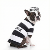 Prisoner Dog Costume .