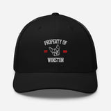Property Of My Dog Custom Embroidered Trucker Cap . Black