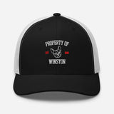 Property Of My Dog Custom Embroidered Trucker Cap . Black White