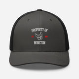 Property Of My Dog Custom Embroidered Trucker Cap . Charcoal Black