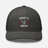 Property Of My Dog Custom Embroidered Trucker Cap . Charcoal