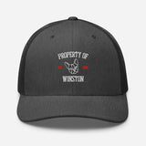 Property Of My Dog Custom Embroidered Trucker Cap . Dark Heather Gray
