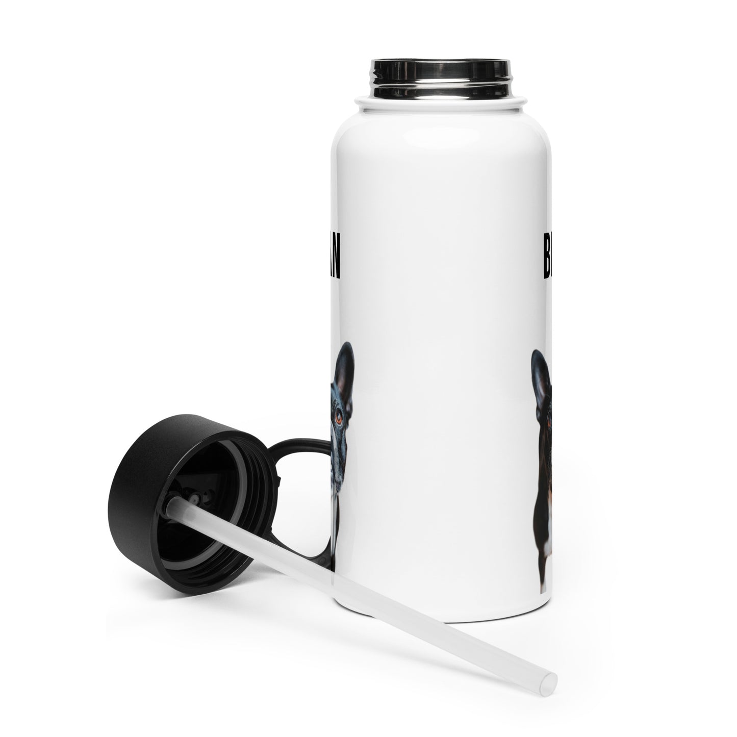 Custom Stainless Steel Water Bottle with a Straw Lid - Custom Water Bottle with Dog Photo and Name