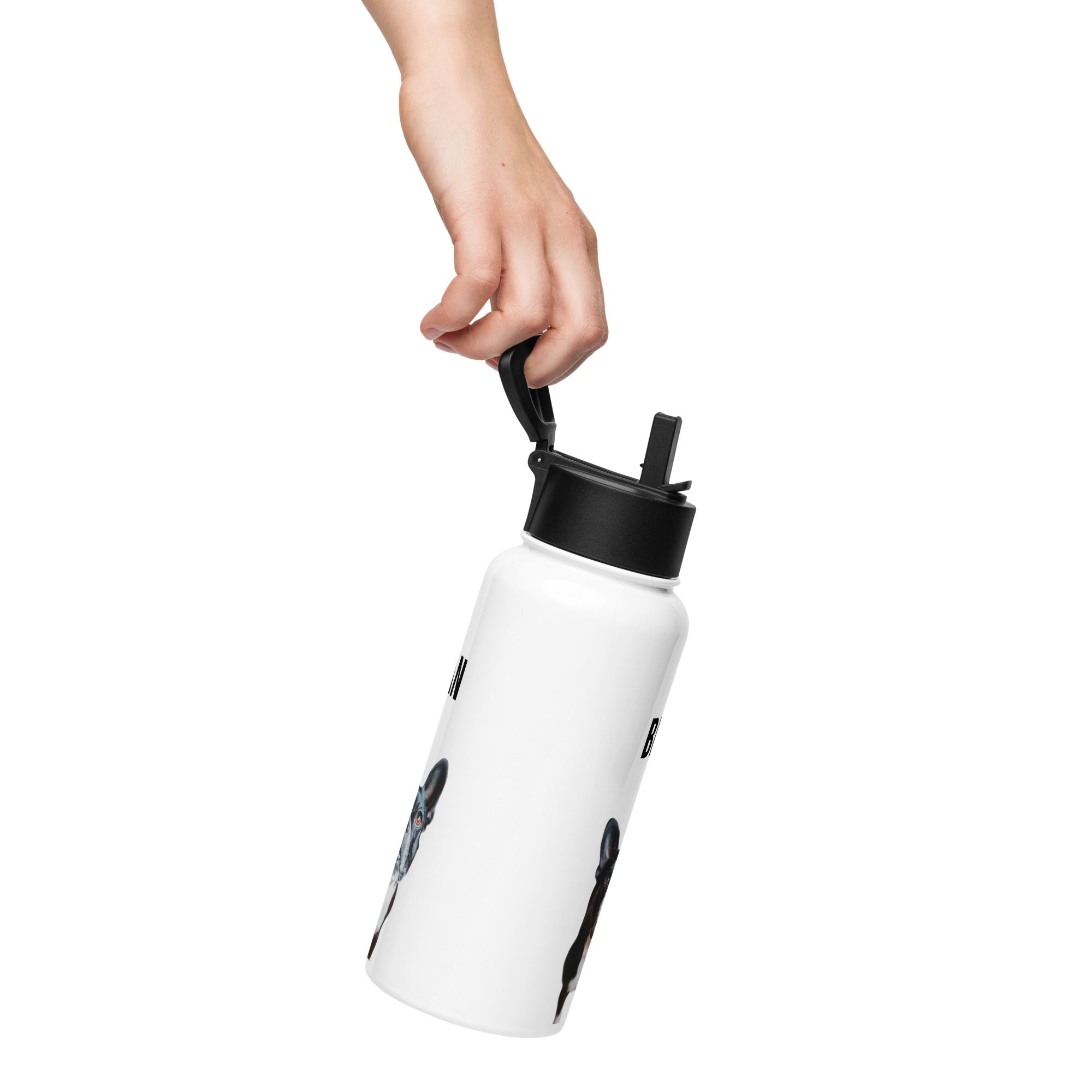 Custom Stainless Steel Water Bottle with a Straw Lid - Custom Water Bottle with Dog Photo and Name