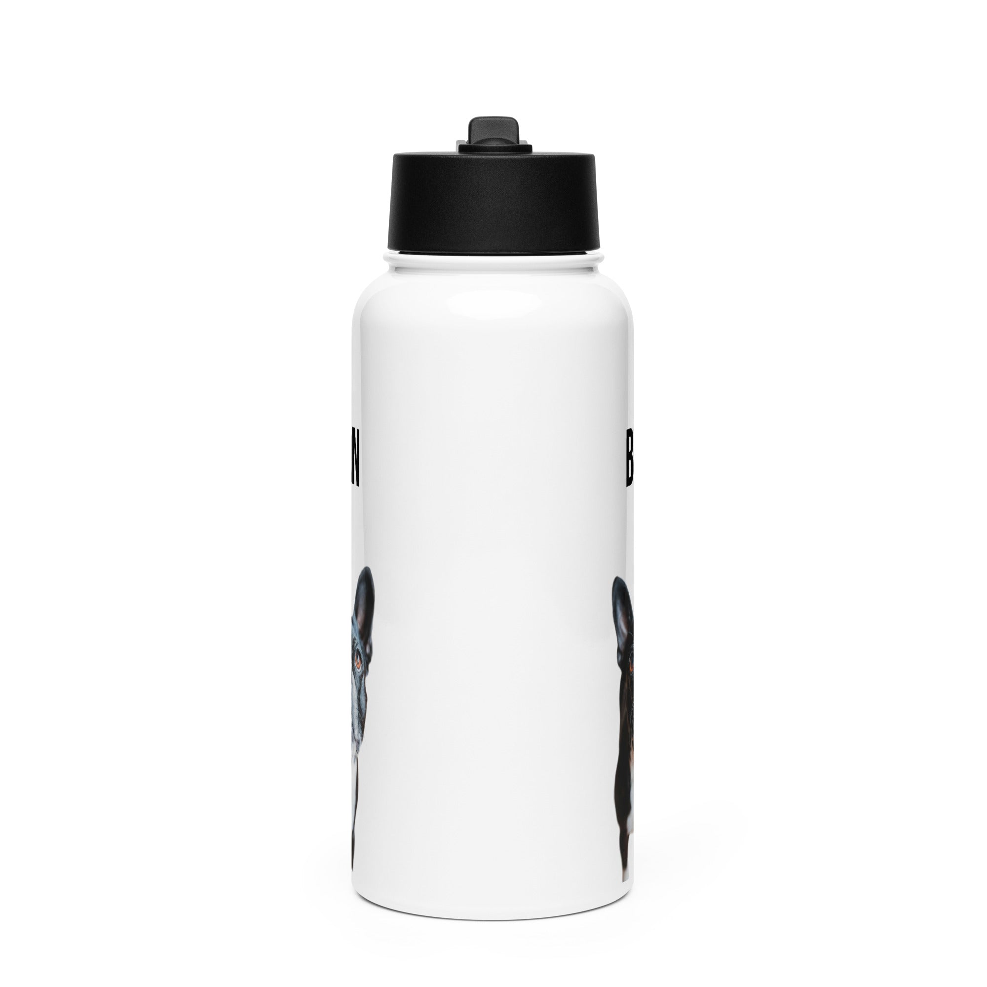 Custom Stainless Steel Water Bottle with a Straw Lid - Custom Water Bottle with Dog Photo and Name