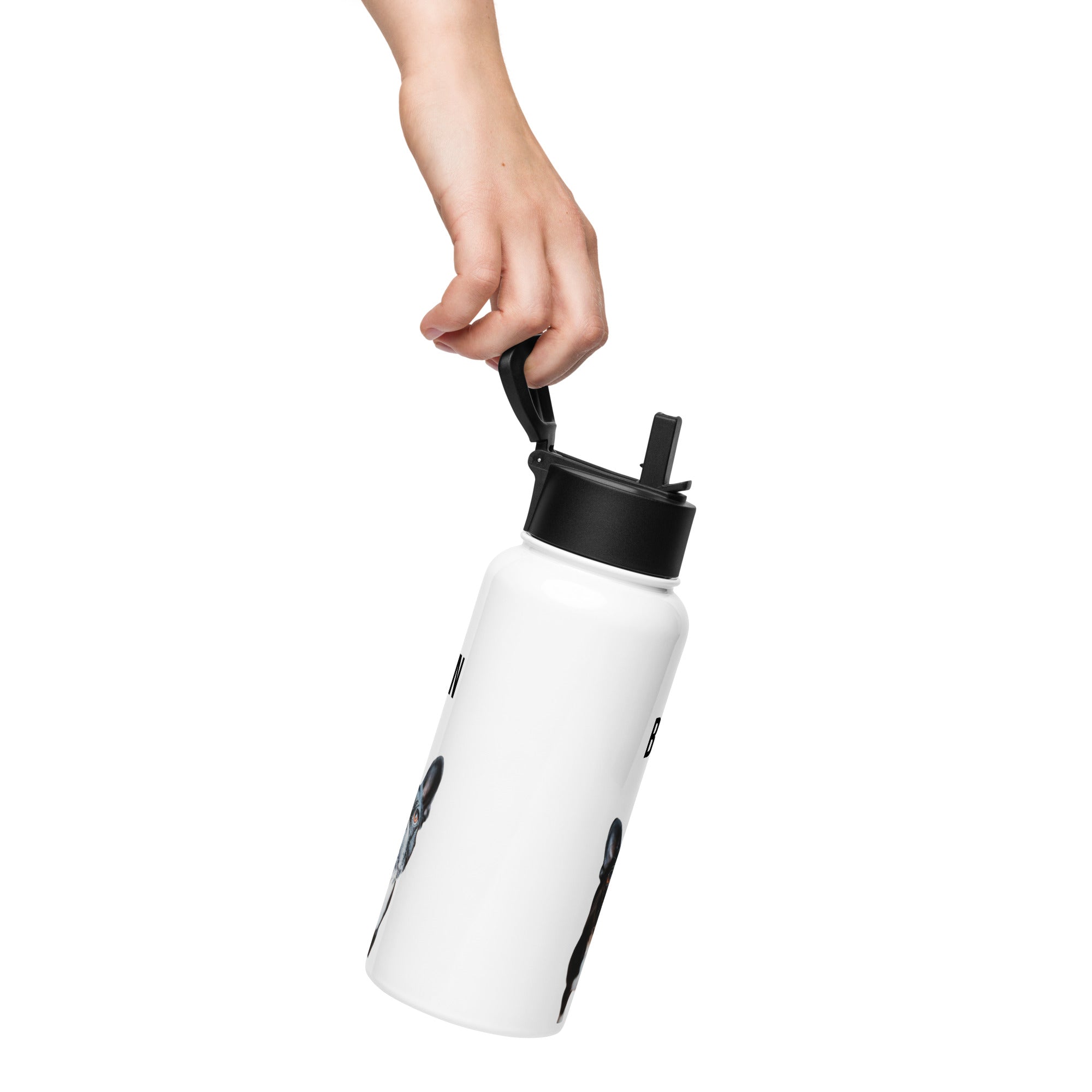 Custom Stainless Steel Water Bottle with a Straw Lid - Custom Water Bottle with Dog Photo and Name