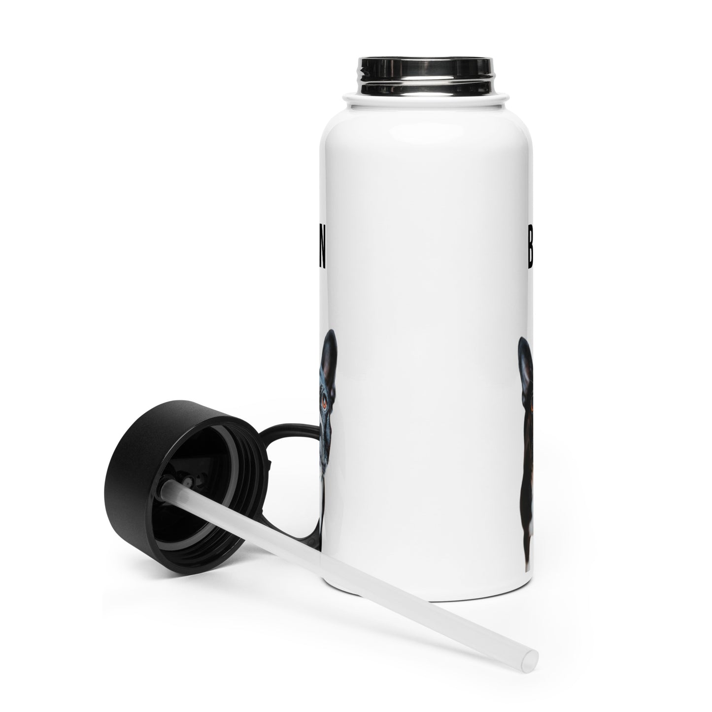Custom Stainless Steel Water Bottle with a Straw Lid - Custom Water Bottle with Dog Photo and Name