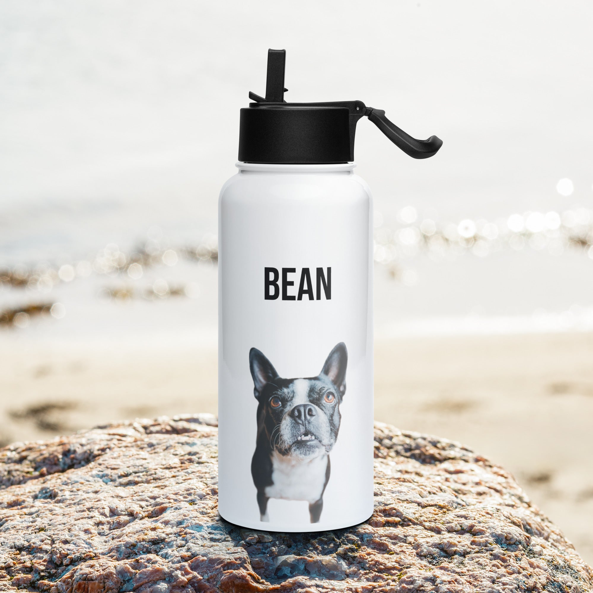 Custom Stainless Steel Water Bottle with a Straw Lid - Custom Water Bottle with Dog Photo and Name