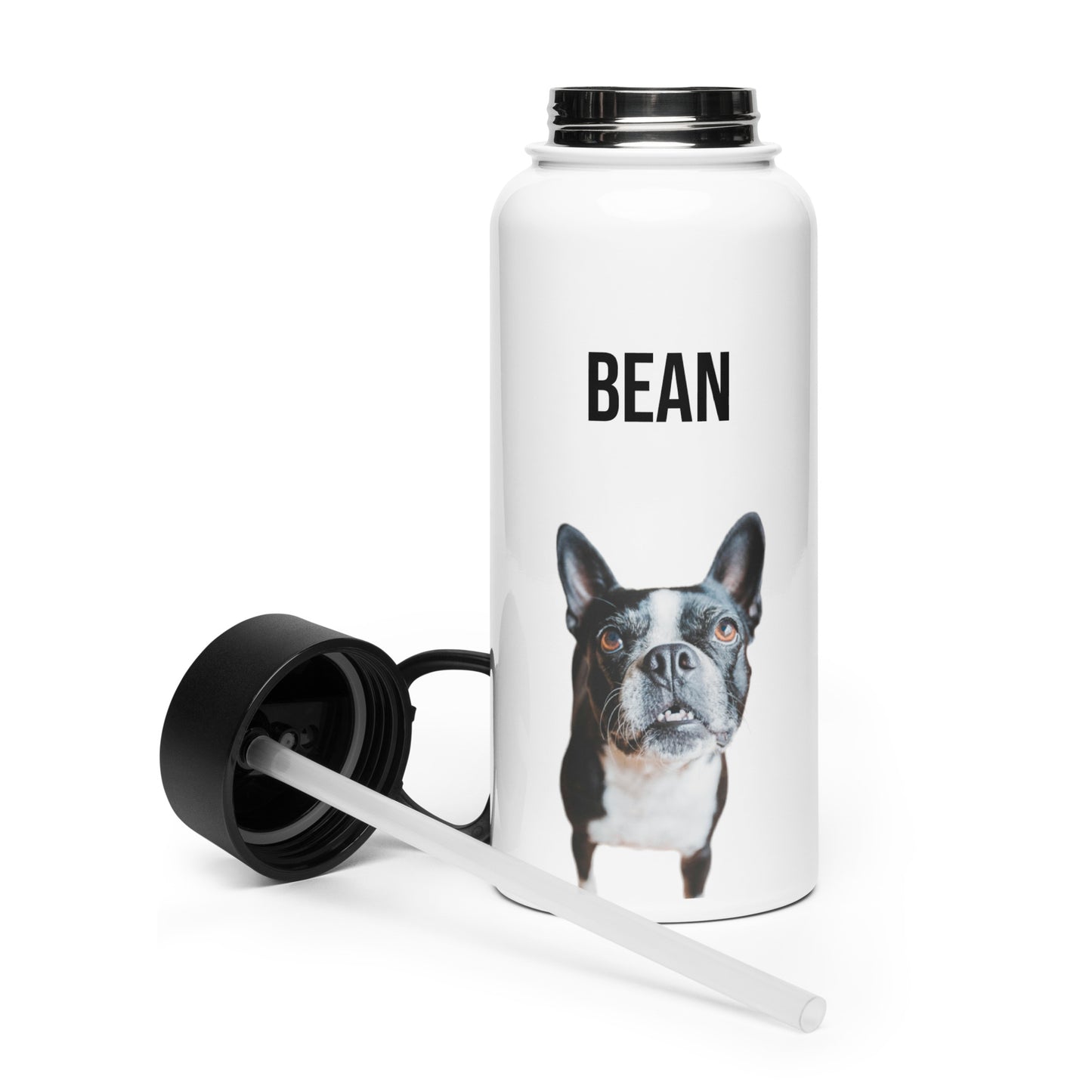 Custom Stainless Steel Water Bottle with a Straw Lid - Custom Water Bottle with Dog Photo and Name