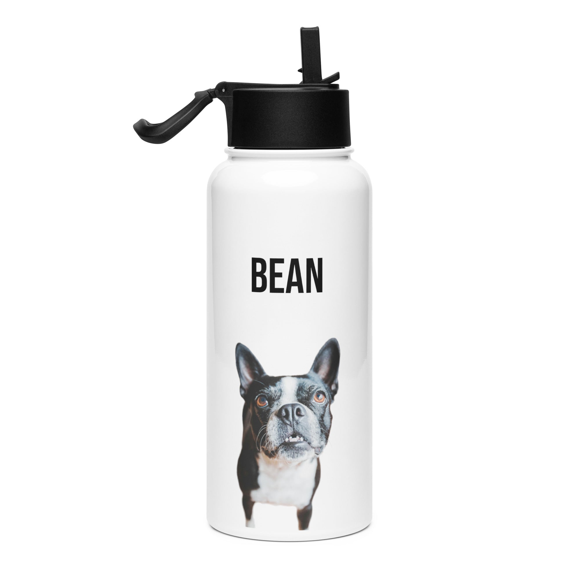 Custom Stainless Steel Water Bottle with a Straw Lid - Custom Water Bottle with Dog Photo and Name