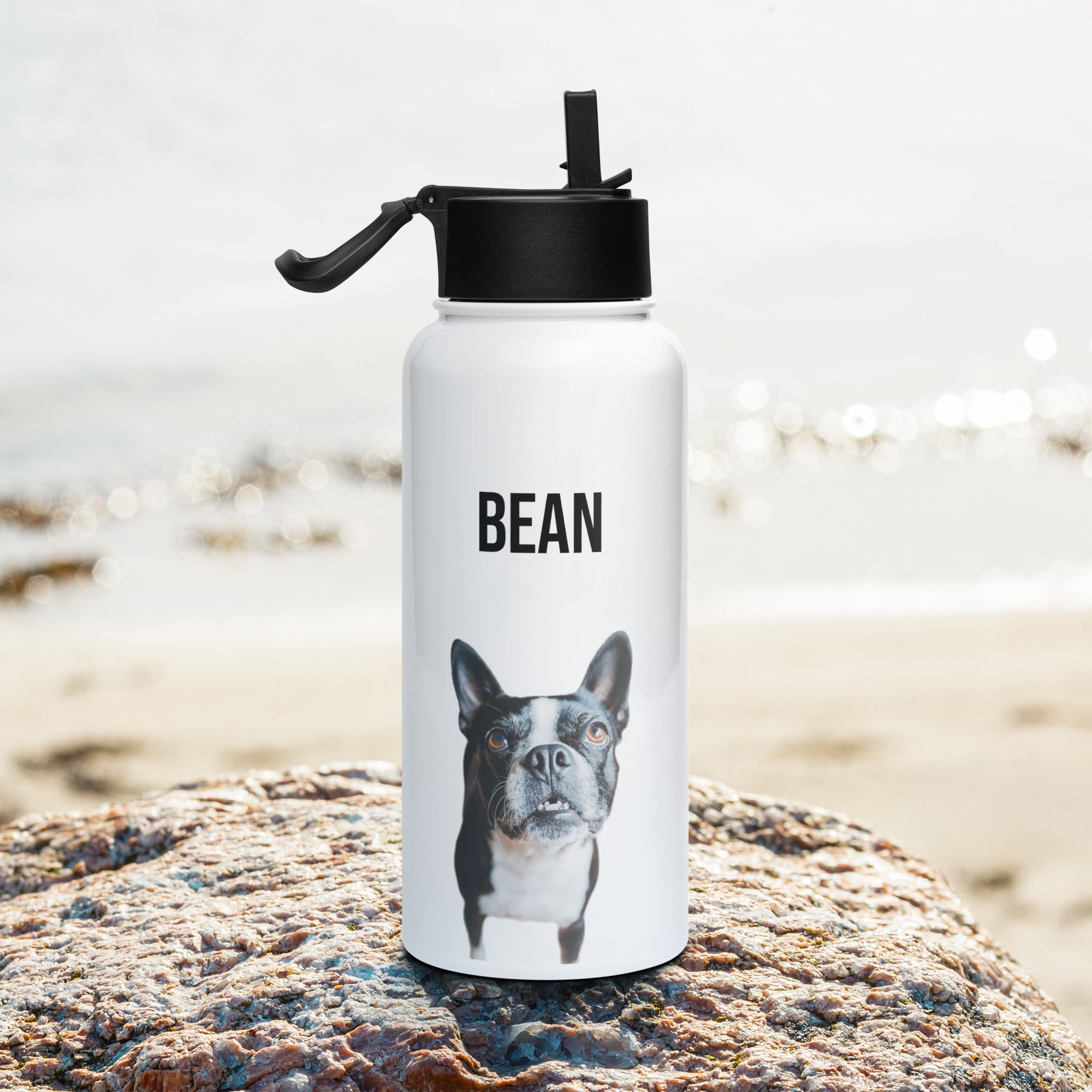 Custom Stainless Steel Water Bottle with a Straw Lid - Custom Water Bottle with Dog Photo and Name