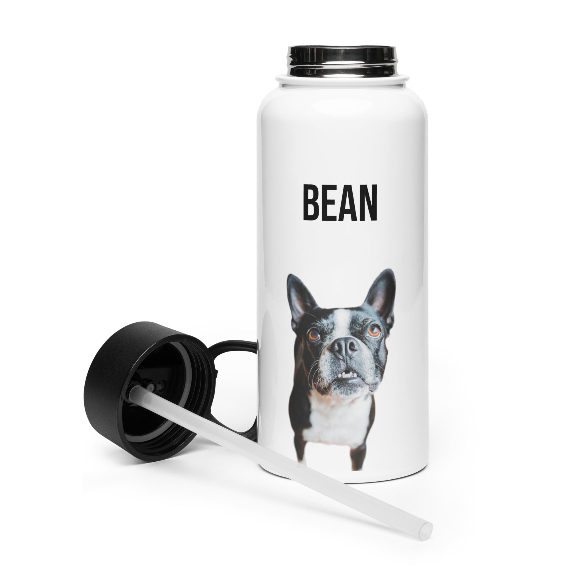Custom Stainless Steel Water Bottle with a Straw Lid - Custom Water Bottle with Dog Photo and Name