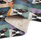 Pop Art Style Colored Boston Terriers Modern Tiles Pattern Sherpa Blanket .